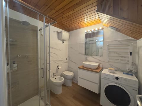 Shower, Toilet, Bathroom, bidet, towels, washing machine