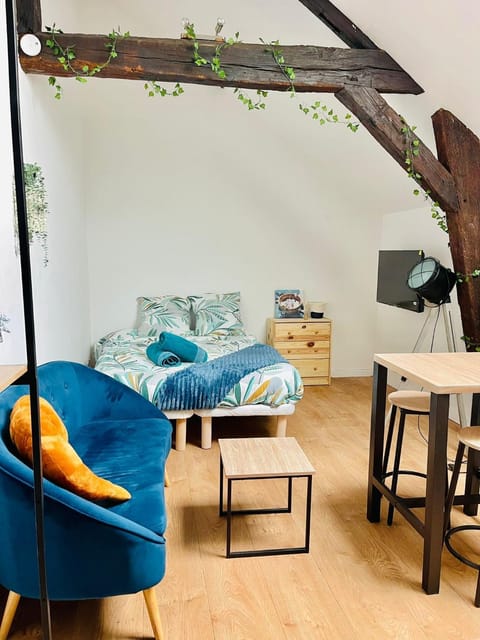 Le Nid Suspendu Apartment in Orléans