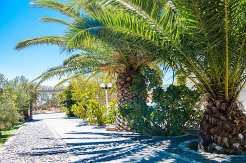 Natural landscape, Garden view