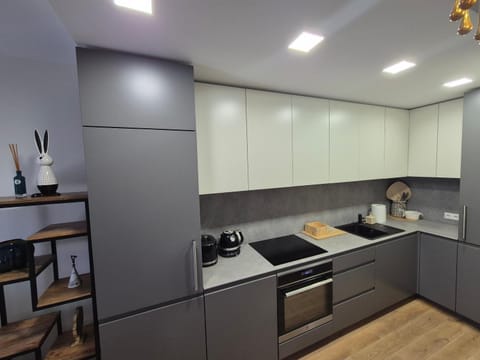 Ajerų apartamentai Apartment in Palanga