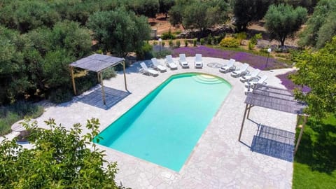 Spring, Day, Natural landscape, Garden, Garden view, Pool view, Swimming pool, sunbed