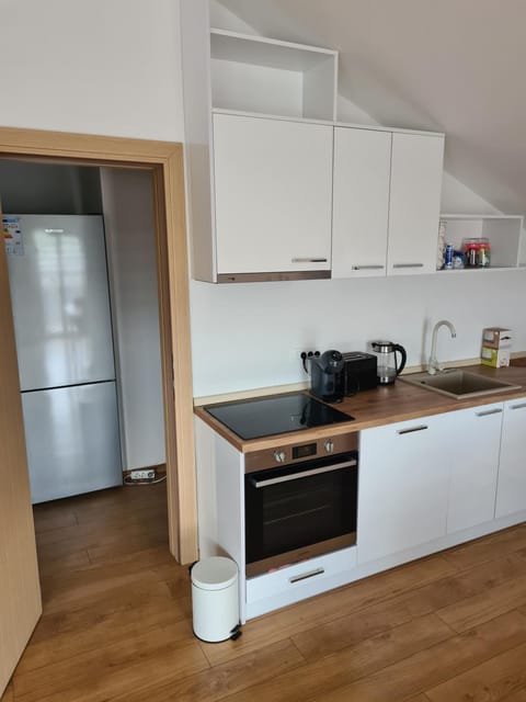 Apartman Luka Apartment in Dubrovnik-Neretva County