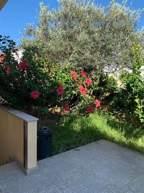 Garden, Garden