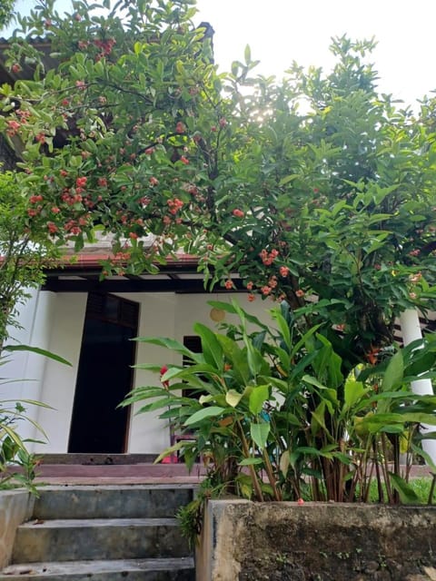 Property building, Day, Garden