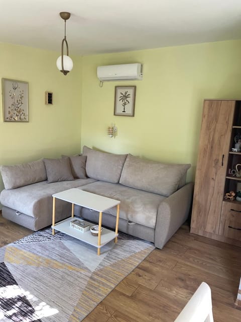 Living room, air conditioner