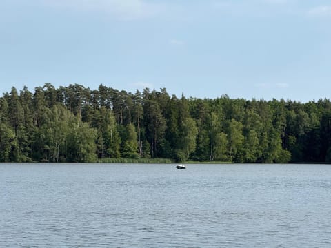 Day, Natural landscape, Seating area, Lake view, River view