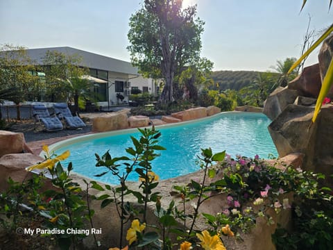 Natural landscape, Garden, Swimming pool