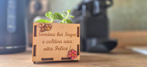 Lichia Apartment Apartment in Pula