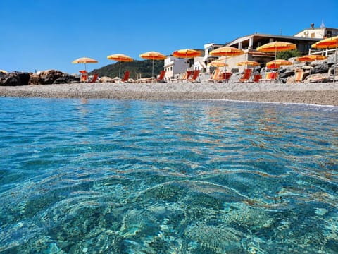 Natural landscape, Summer, Beach