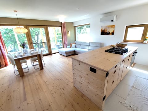 Kitchen or kitchenette, Living room, Dining area, stove