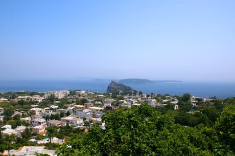 Panorama Carmelina Apartment in Ischia
