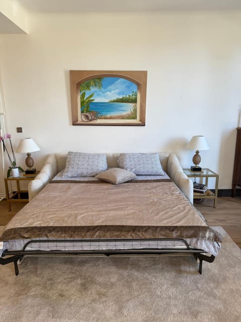 Magnifique studio entier avec terrasse Saint Jean Cap Ferrat Apartment in Saint-Jean-Cap-Ferrat