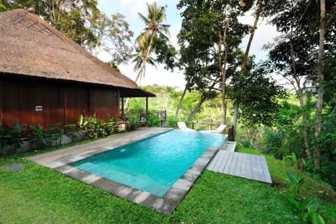 Property building, Day, Garden, Garden view, Pool view, Swimming pool, sunbed