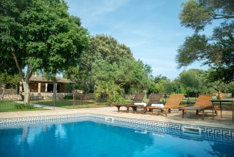 Property building, Day, Summer, Garden, Garden view, Pool view, Swimming pool, sunbed