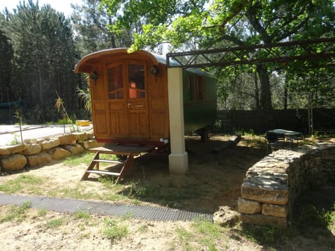 Natural landscape, Garden, Garden view