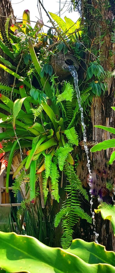 Pousada Villa Maritima Bed and Breakfast in State of Rio de Janeiro