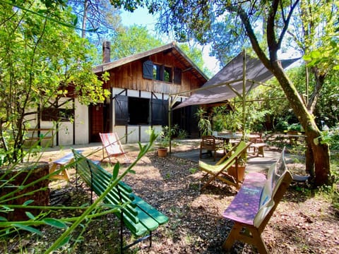 Property building, Natural landscape, Garden