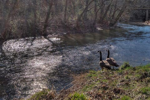 Big Cypress Mansion by Venture Smoky Mountains House in Pigeon Forge