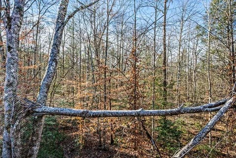 Dancing Bear Hideaway by Venture Smoky Mountains House in Pittman Center