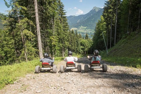 Edelweiss, Studio 5 pers, balcon sud est, vue sur les montagnes Apartment in Haute-Savoie
