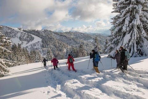 Edelweiss, Studio 5 pers, balcon sud est, vue sur les montagnes Apartment in Haute-Savoie