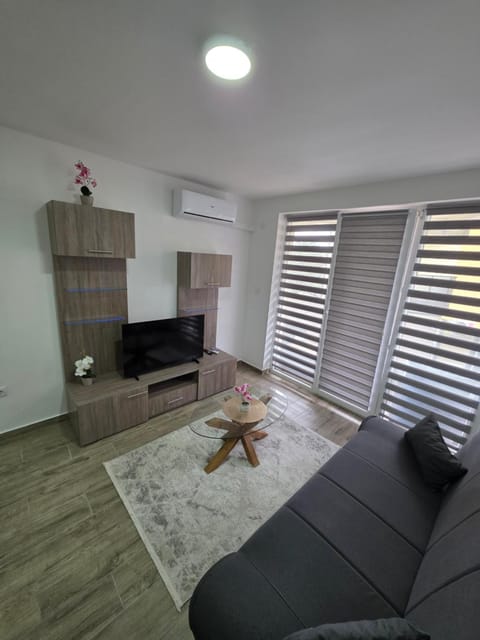 Apartmani Kostić 3 Apartment in Vojvodina