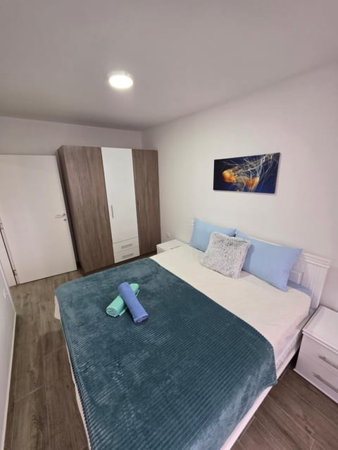 Apartmani Kostić 3 Apartment in Vojvodina