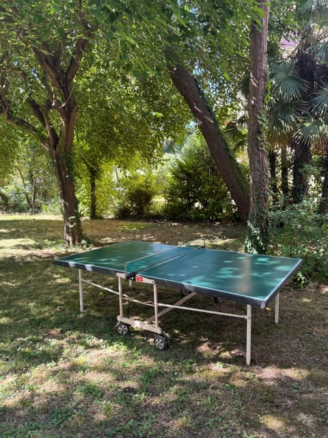 Garden, Table tennis