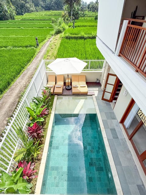 Natural landscape, View (from property/room), Pool view, Swimming pool