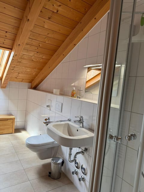 Shower, Toilet, Bathroom, towels