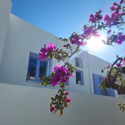 Property building, Balcony/Terrace