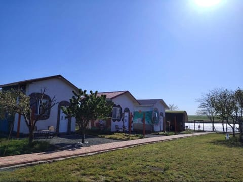 Natural landscape, Garden, Garden view
