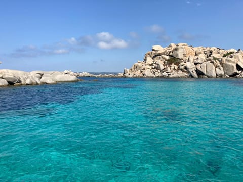 Sublime Appart T2 Apartment in Bastia