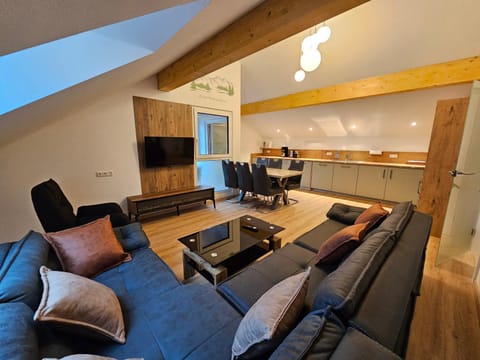 Living room, kitchen