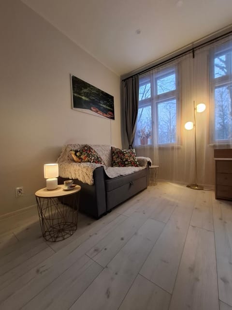 Living room, Photo of the whole room, Decorative detail, Seating area, Bedroom, heating