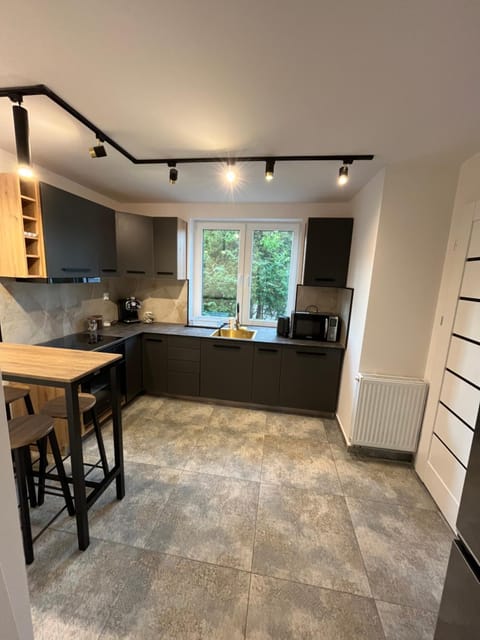 Kitchen or kitchenette, Dining area, stove