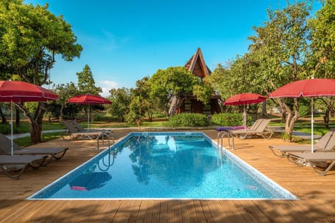 Spring, Day, Garden, Garden view, Pool view, Swimming pool, sunbed