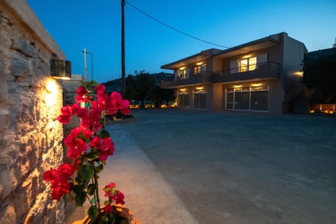 Property building, Night, Garden