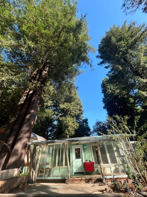 Chillshack House in Colorado