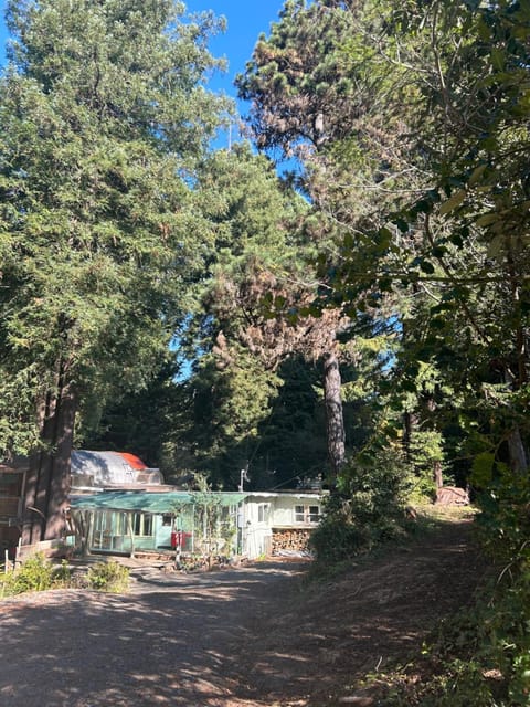Chillshack House in Colorado