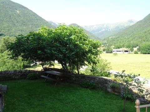 Natural landscape, Garden, Mountain view