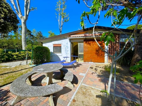 Property building, Patio, Garden, Garden view