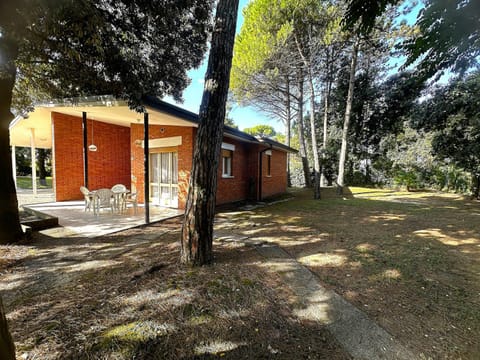 Property building, Garden view