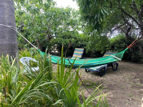 Garden, Garden, Garden view