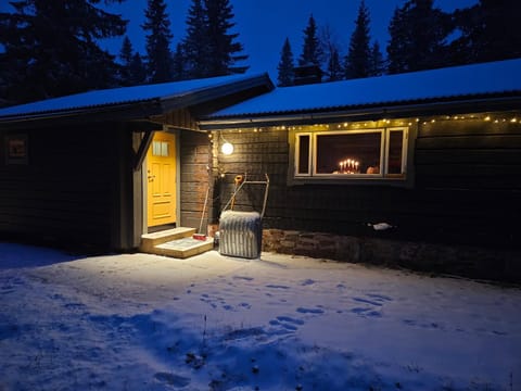 Property building, Night, Winter