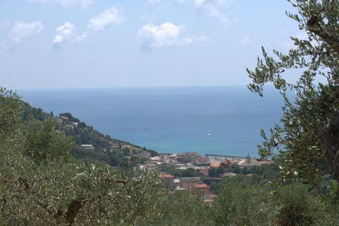 Natural landscape