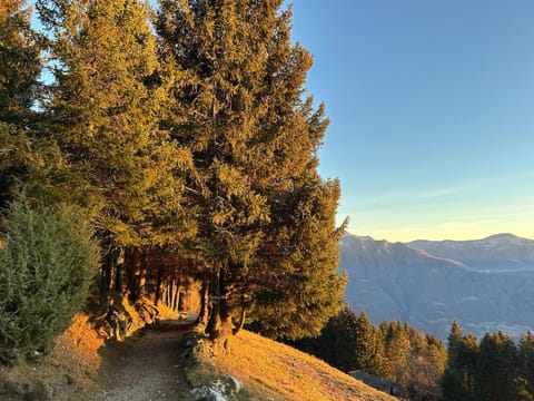 Ca' Negra, Do-Minus Design Retreat & SPA Chalet in Bellinzona