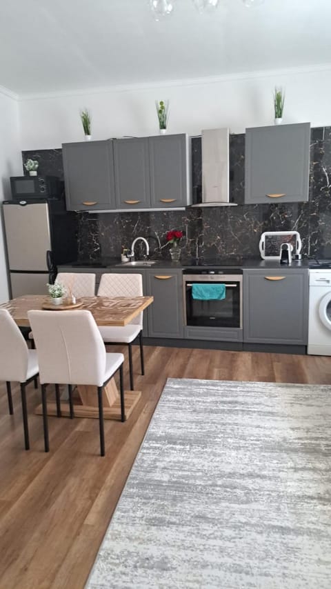 Kitchen or kitchenette, dishwasher, oven, pet friendly