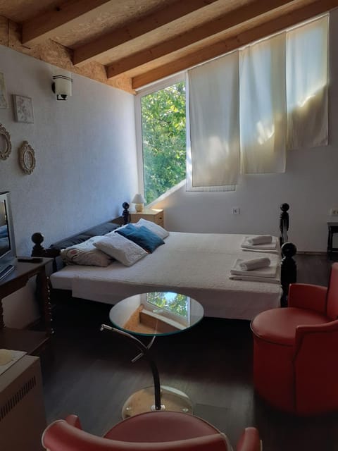 Borov Apartment Apartment in Montenegro