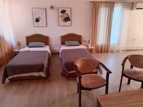 Borov Apartment Apartment in Montenegro